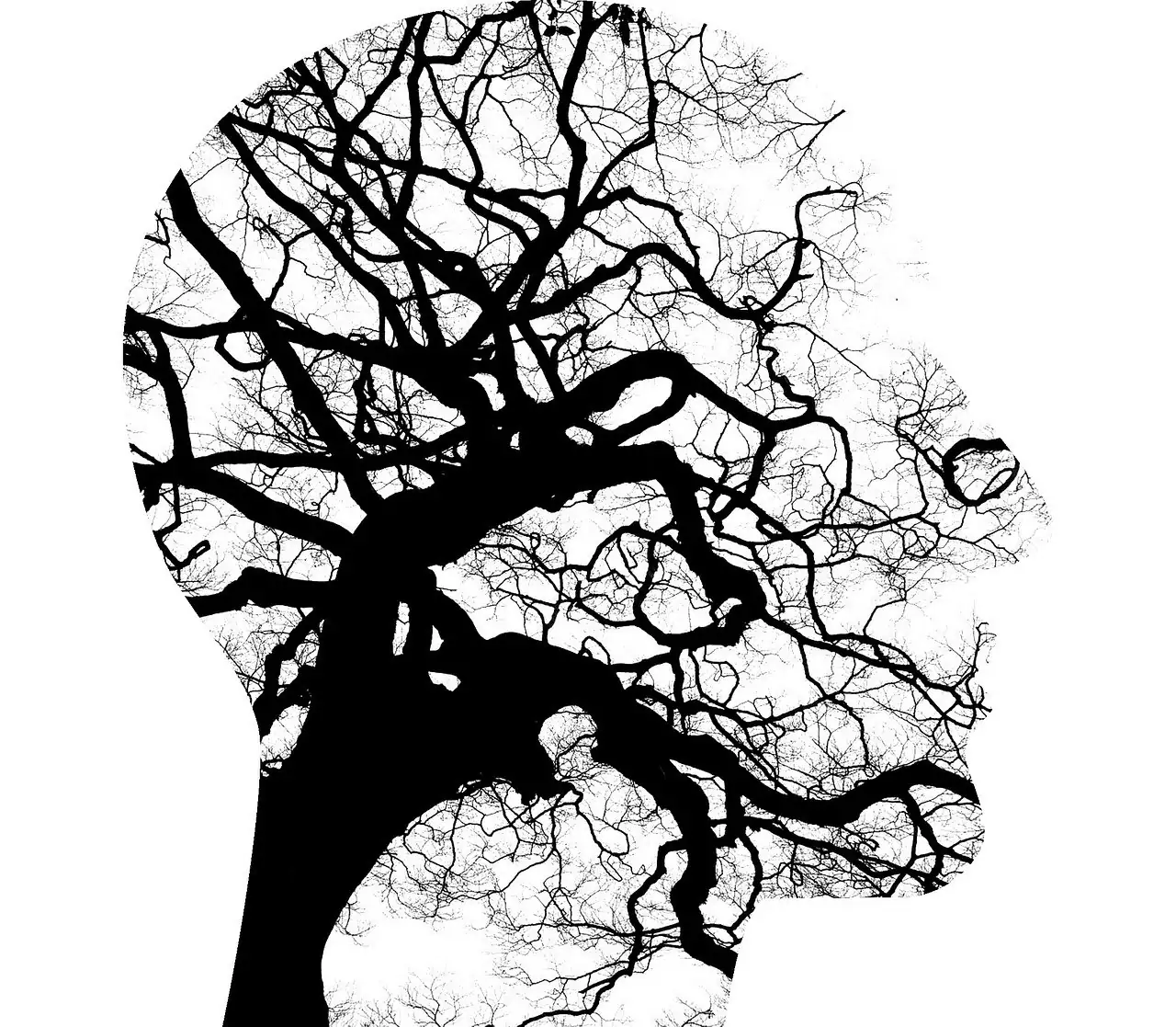 Mental Coaching Detail