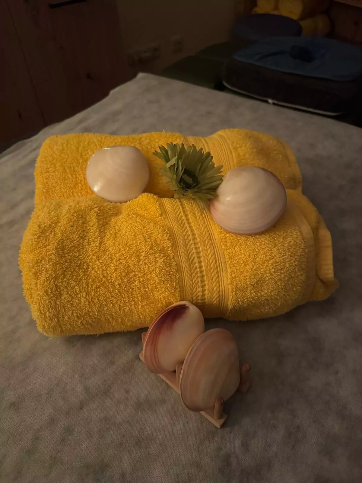 Lava Shell Massage Detail